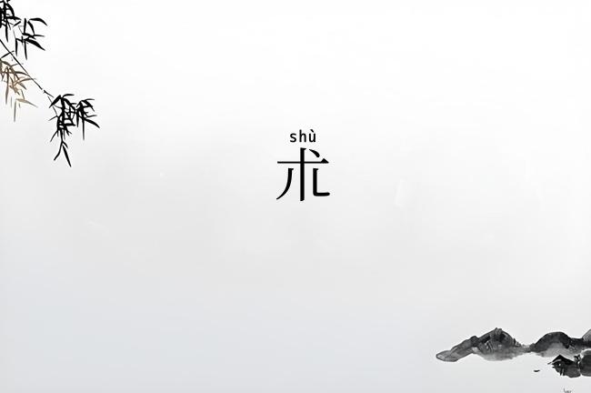 朮