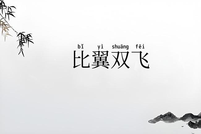 比翼双飞