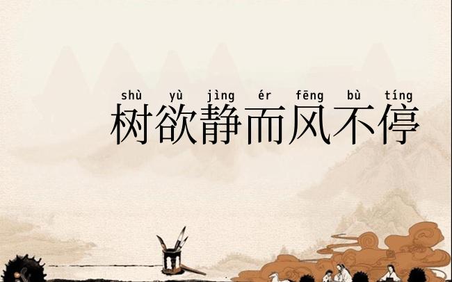 树欲静而风不停