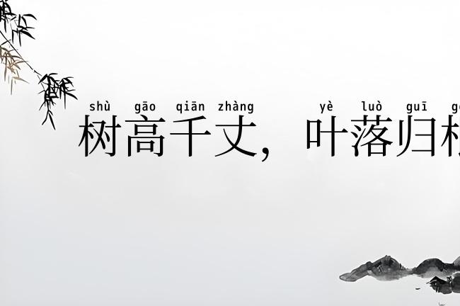树高千丈,叶落归根