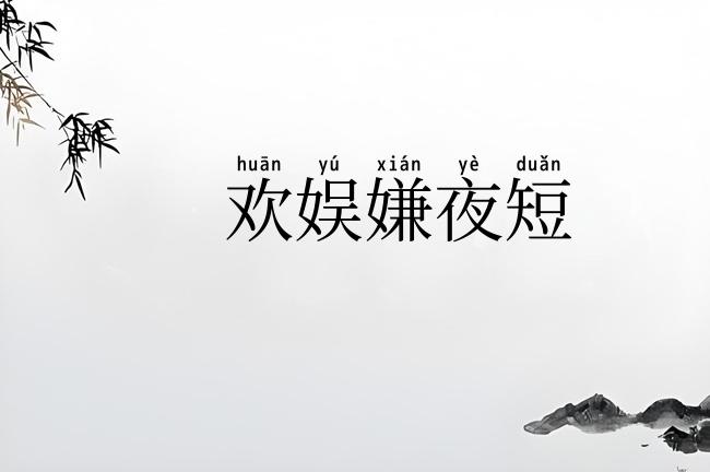 欢娱嫌夜短