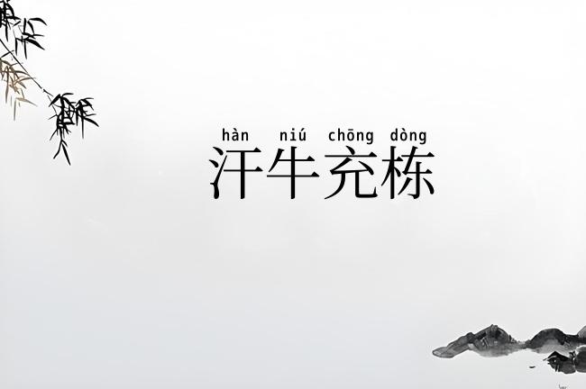 汗牛充栋