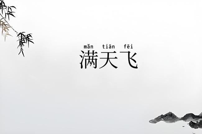 满天飞