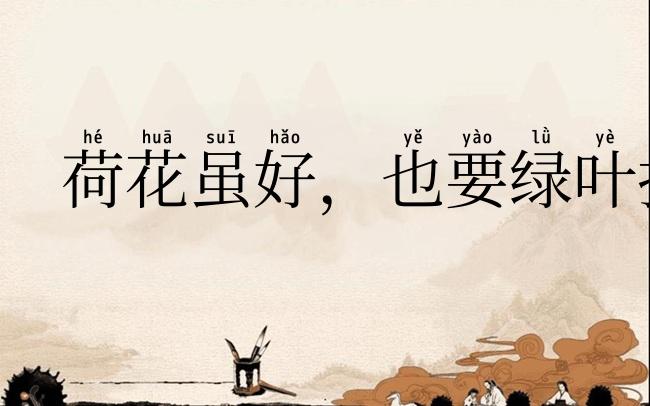 荷花虽好，也要绿叶扶持