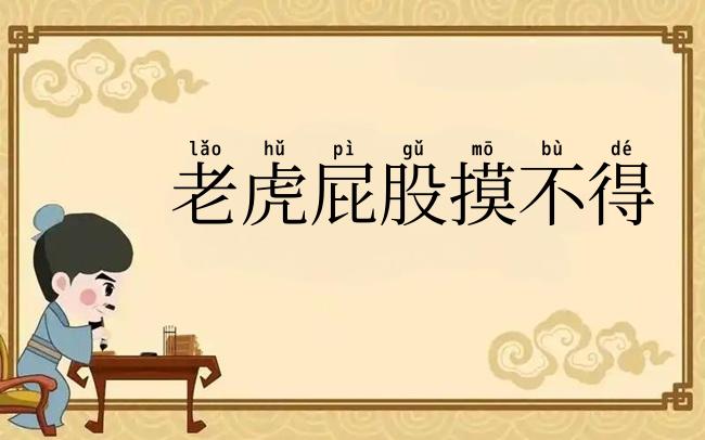 老虎屁股摸不得