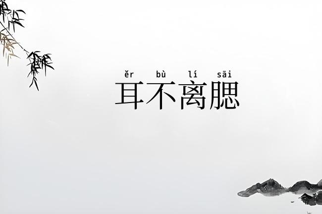 耳不离腮