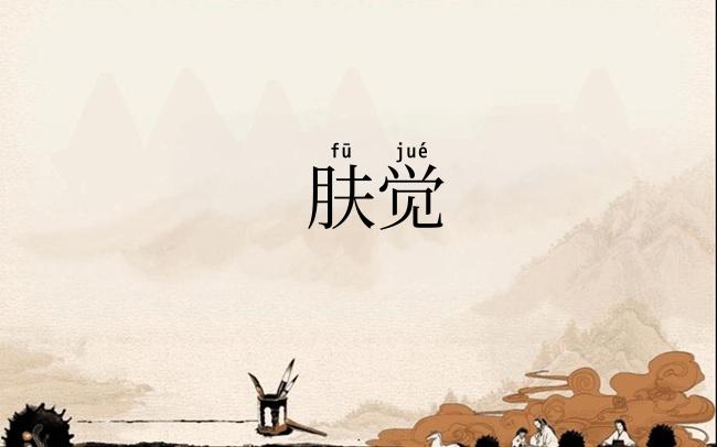 肤觉
