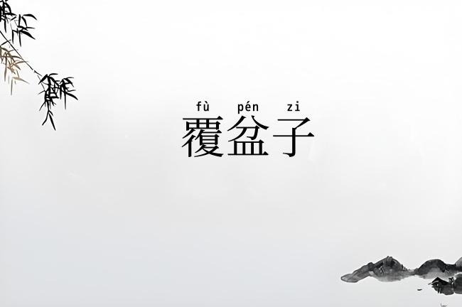 覆盆子