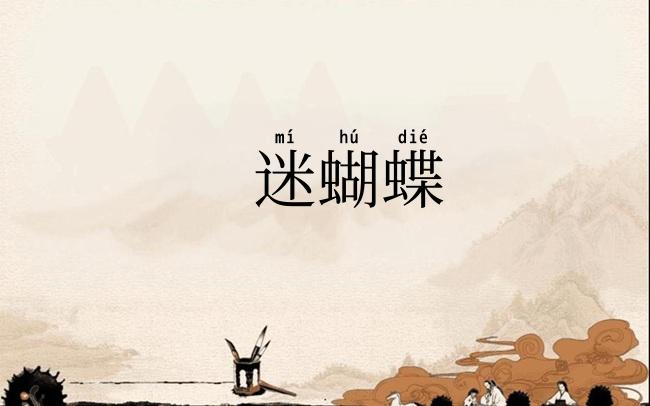 迷蝴蝶