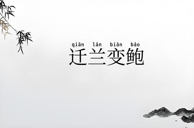 迁兰变鲍