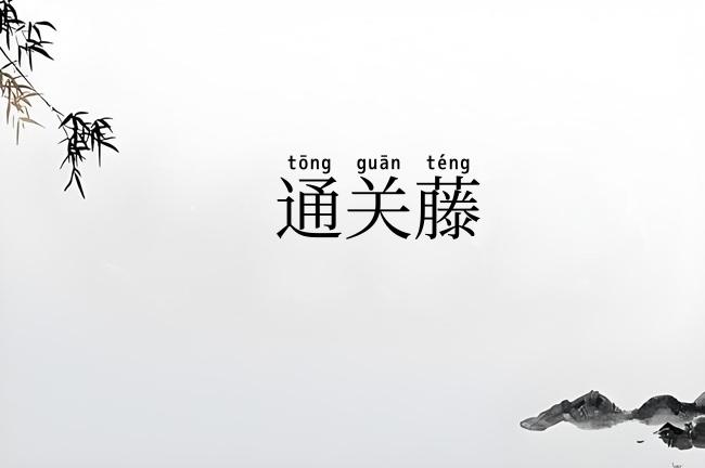 通关藤