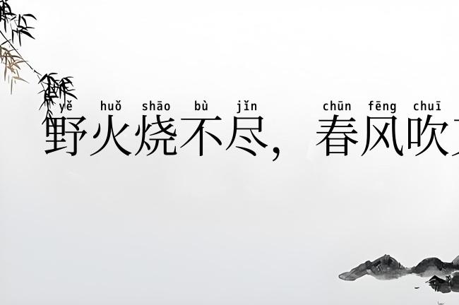 野火烧不尽，春风吹又生