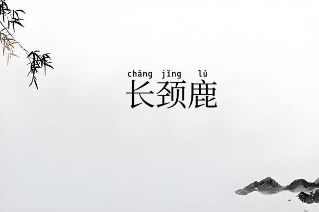 长颈鹿