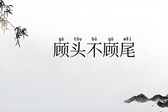 顾头不顾尾