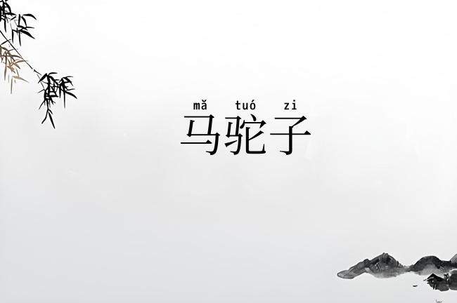 马驼子