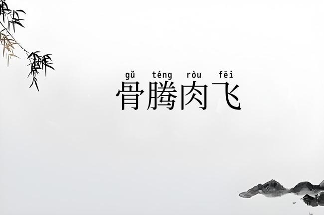 骨腾肉飞