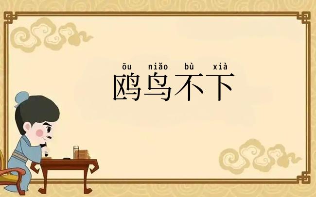 鸥鸟不下
