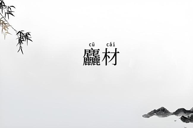 麤材