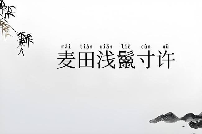 麦田浅鬣寸许
