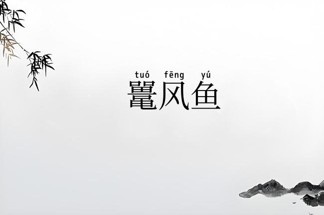 鼍风鱼